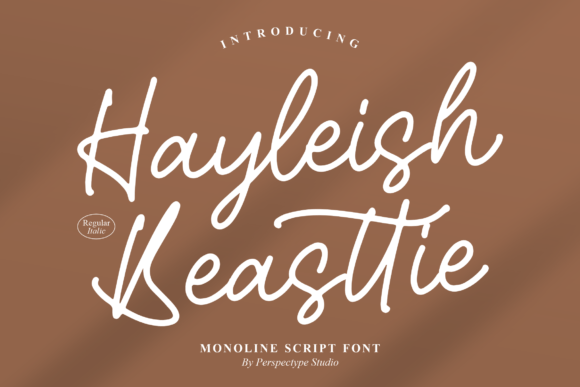 Hayleish Beasttie: A Dazzling Script Font for Beautiful Web Design