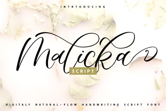 Malicka: A Romantic Script Font for Modern Campaigns