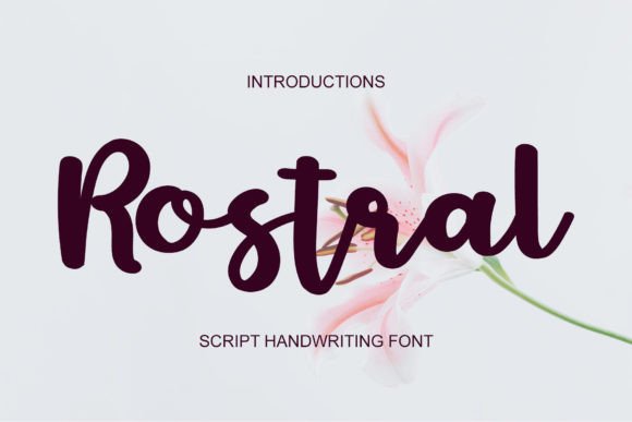 Rostral: A Handwritten Font That Elevates Digital Layouts
