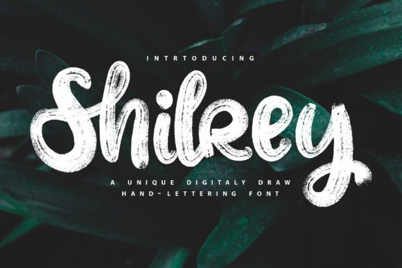 Using the Shilrey Font for Professional Brand Identity